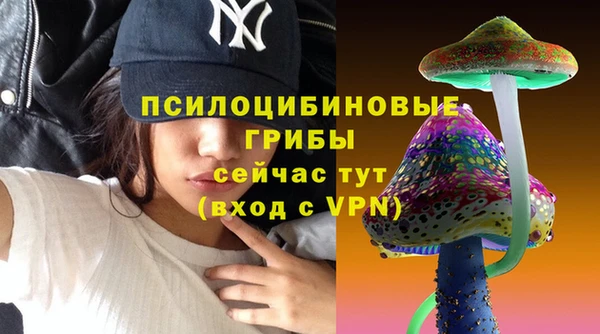 марки lsd Зеленодольск