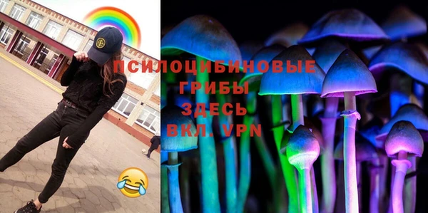 apvp Зерноград