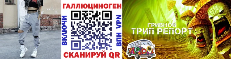 Галлюциногенные грибы Psilocybine cubensis Купить Билибино