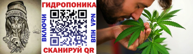 Купить  Билибино  Каннабис ГИДРОПОН 